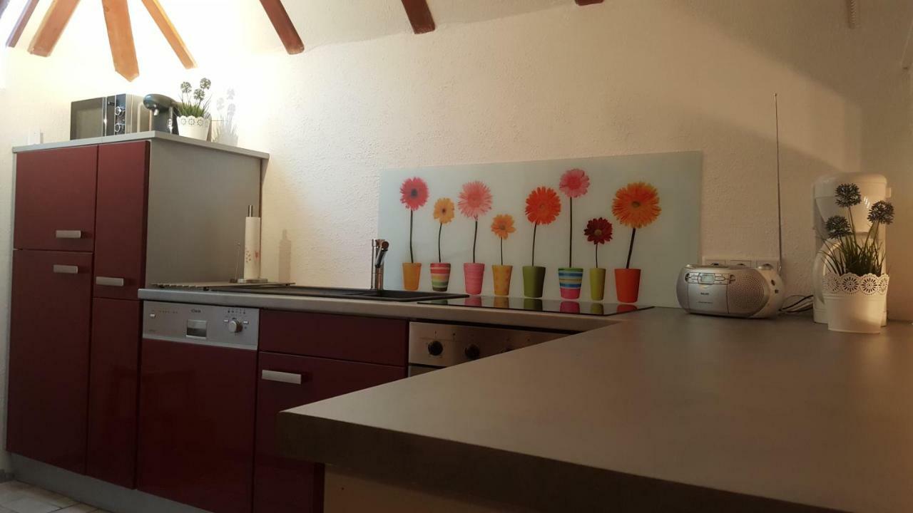 Ferienhaus Lilly Am Silbersee Frielendorf 외부 사진